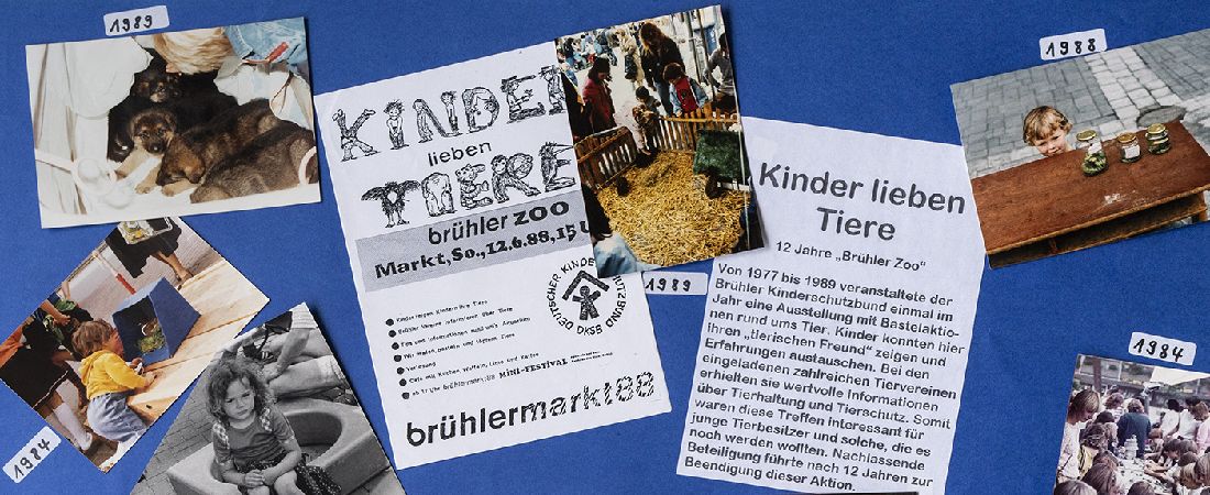 Bild: Bilder-Slider
